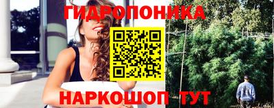 кокс Дубна